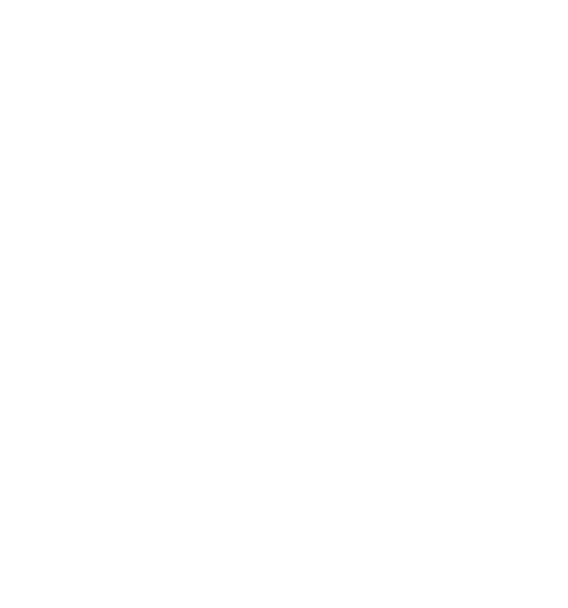 Atkins Pro Clean
